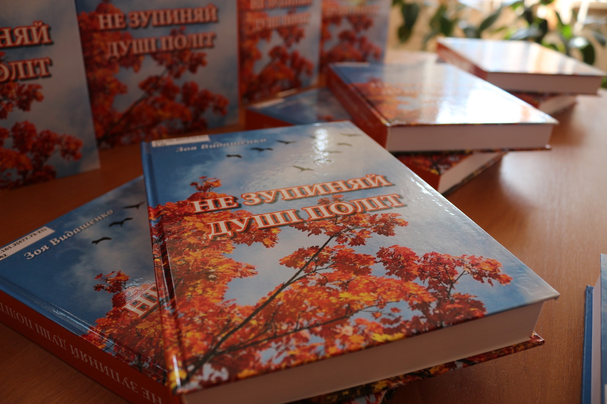 Центральна бібліотека ім. М.Л. Кропивницького отримала гарну книжкову підтримку від миколаївської письменниці З. Видашенко